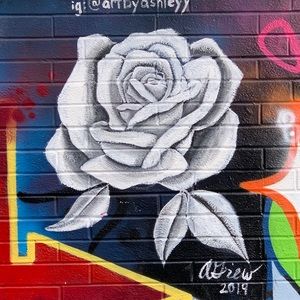 Meet your Posher, Arlett